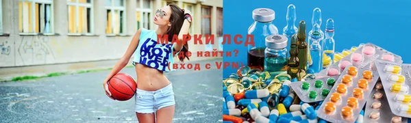 сатива Горняк