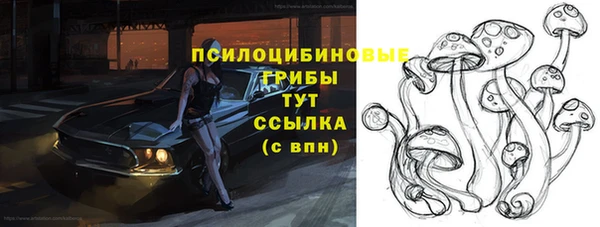 сатива Горняк