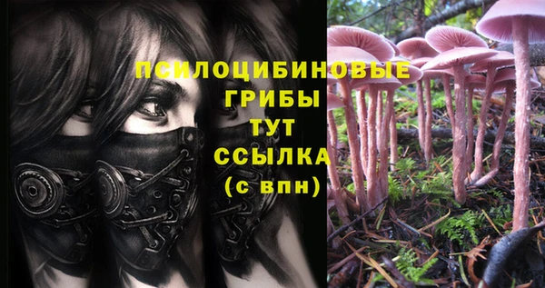 твердый Горнозаводск