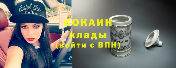 сатива Горняк