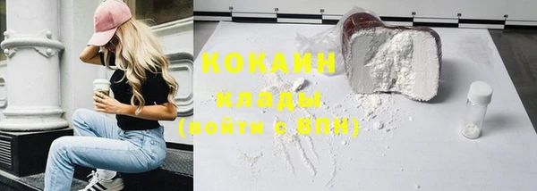 сатива Горняк