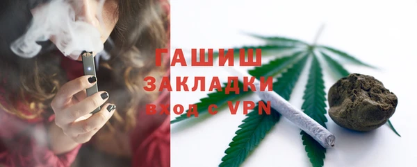 сатива Горняк