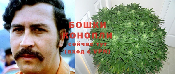 твердый Горнозаводск