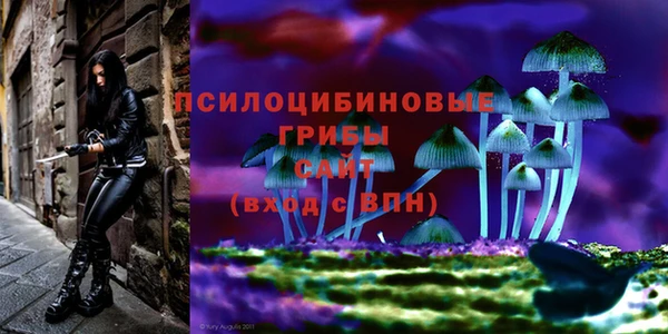 сатива Горняк