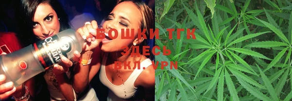 сатива Горняк
