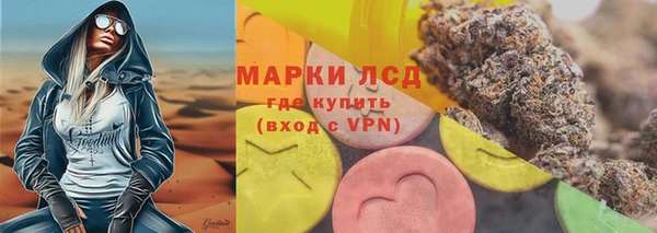 сатива Горняк